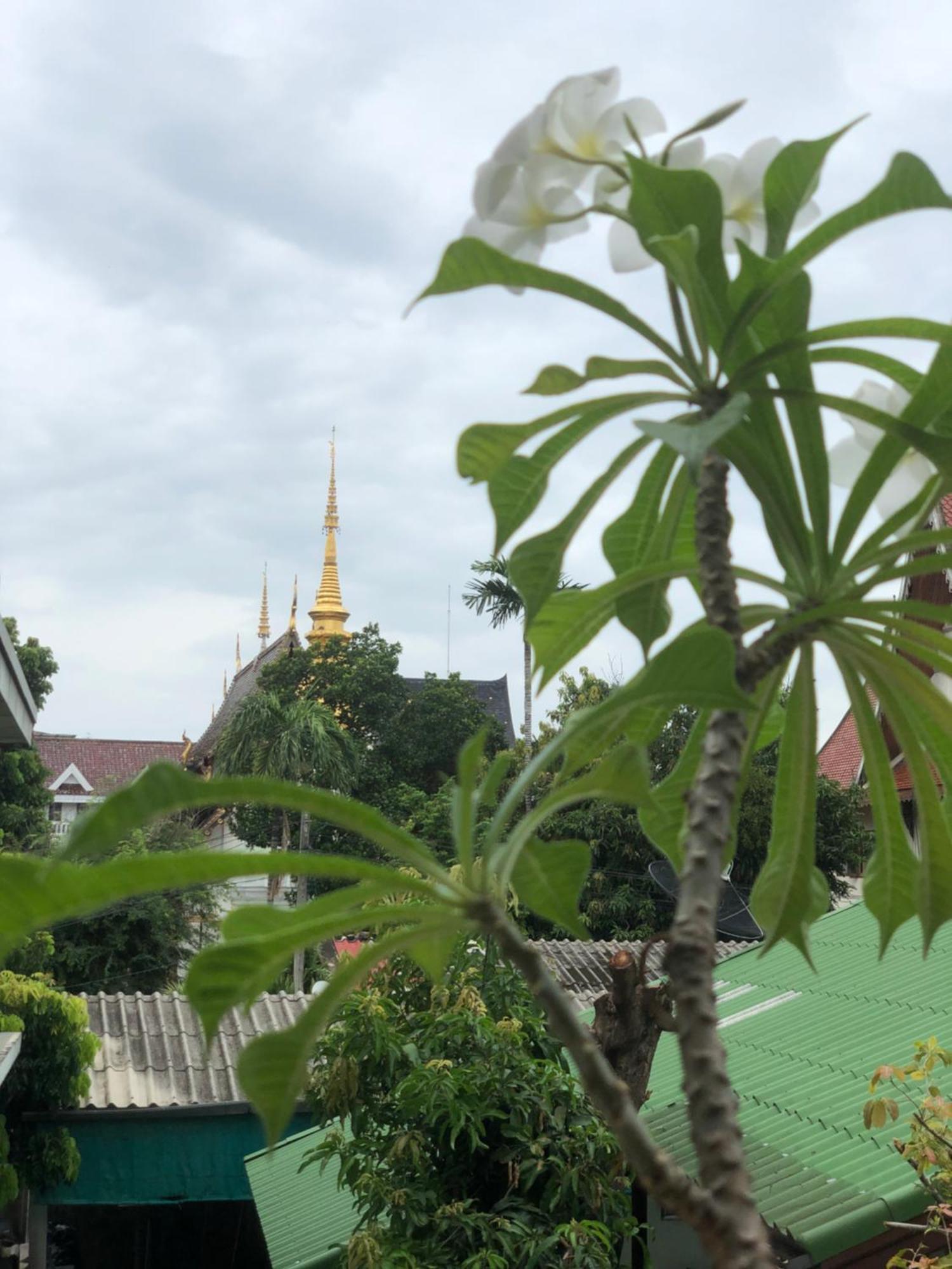 Thongran'S House Hotel Chiang Mai Bagian luar foto